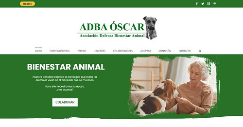 diseño web adba